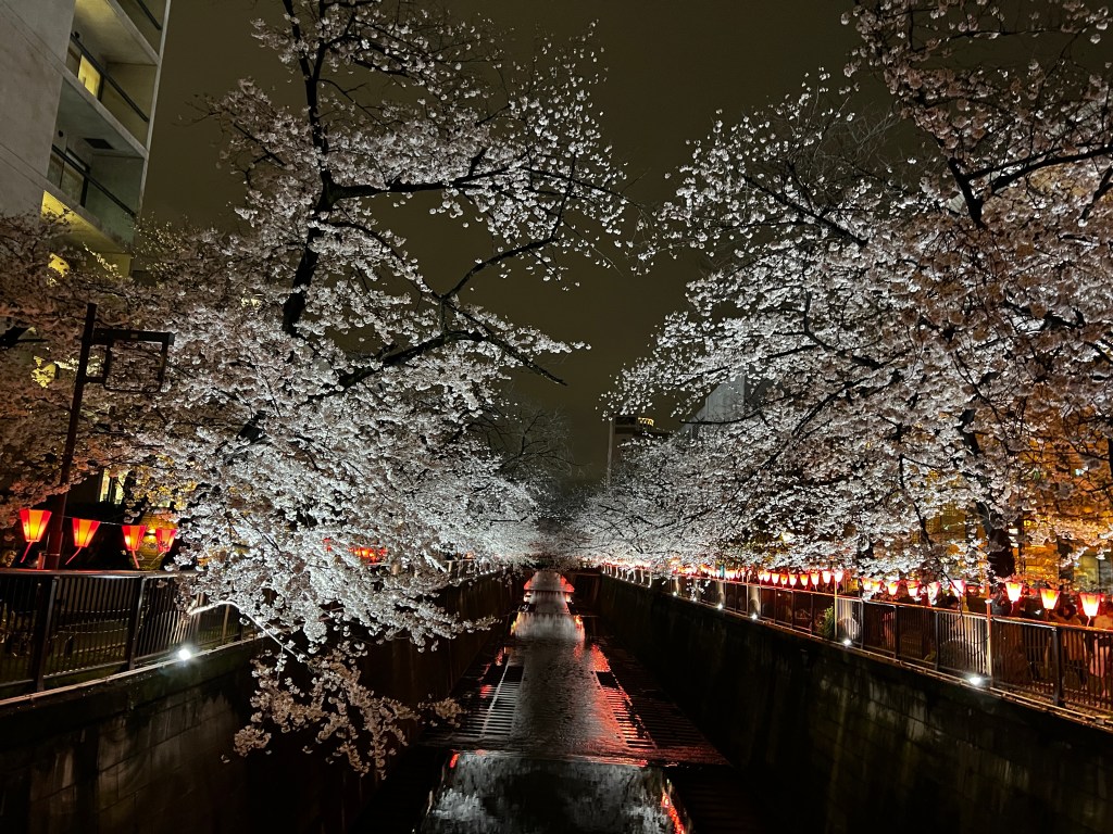中目黒のお花見/桜祭り2023